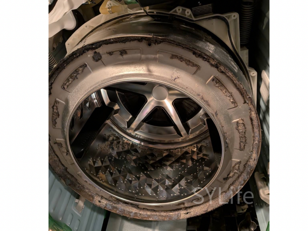 東京都中央区で行ったパナソニック製ドラム式洗濯機の洗濯槽洗浄前の様子。