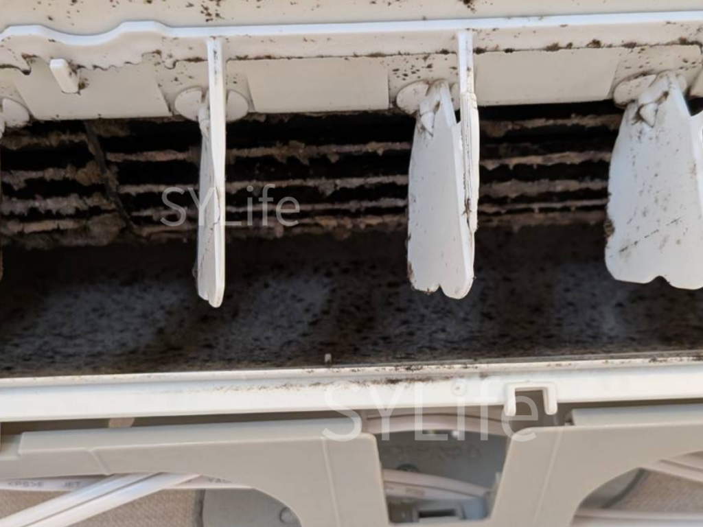 CS-363DFL-Wエアコンクリーニング洗浄前のファン部分。