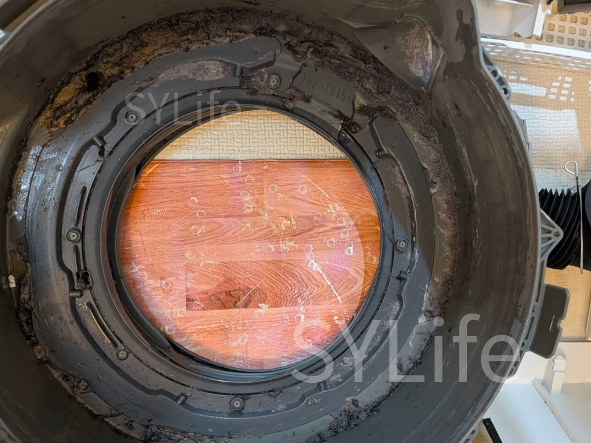 NA-VX3800Lドラム式洗濯機クリーニング前の内部状況