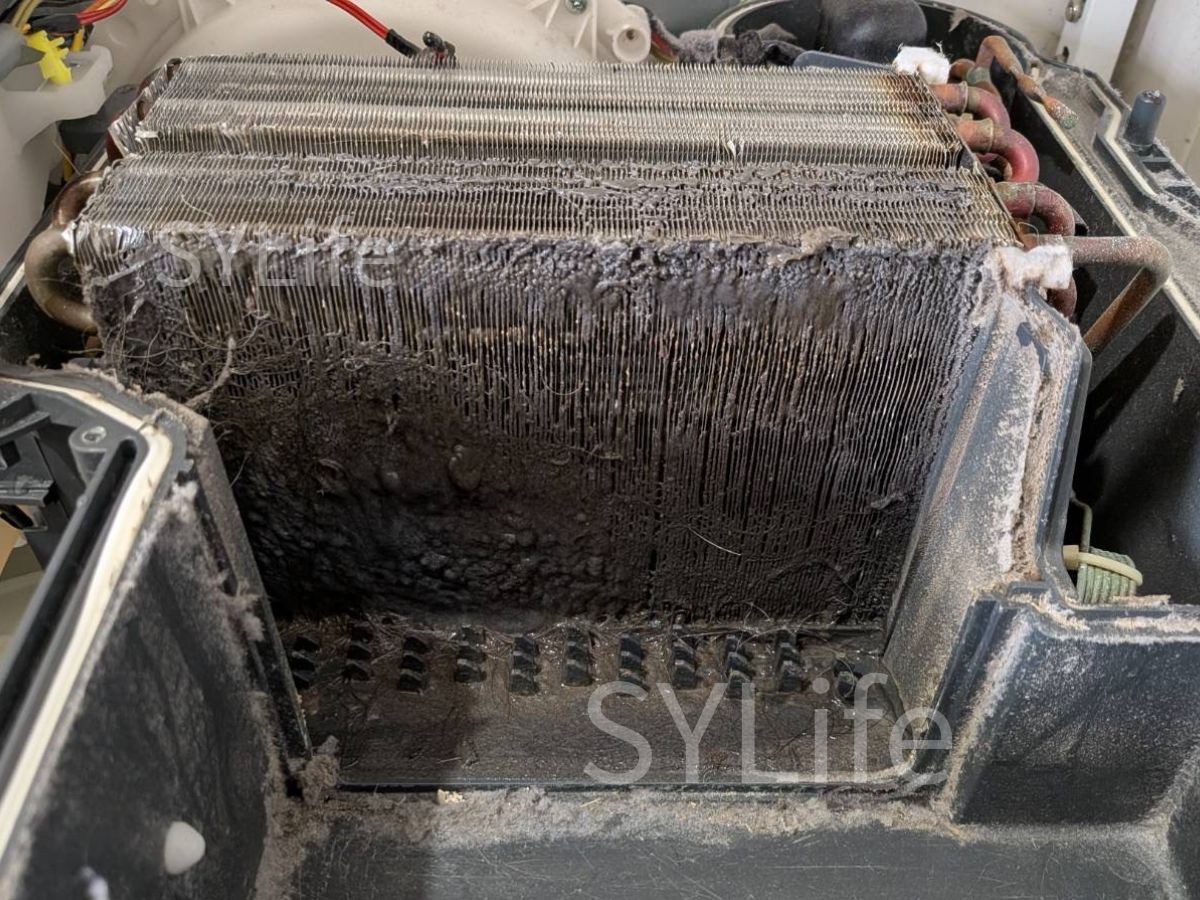 世田谷区 ドラム式洗濯機クリーニング NA-LX127A ヒートポンプにホコリと犬の毛が詰まった状態