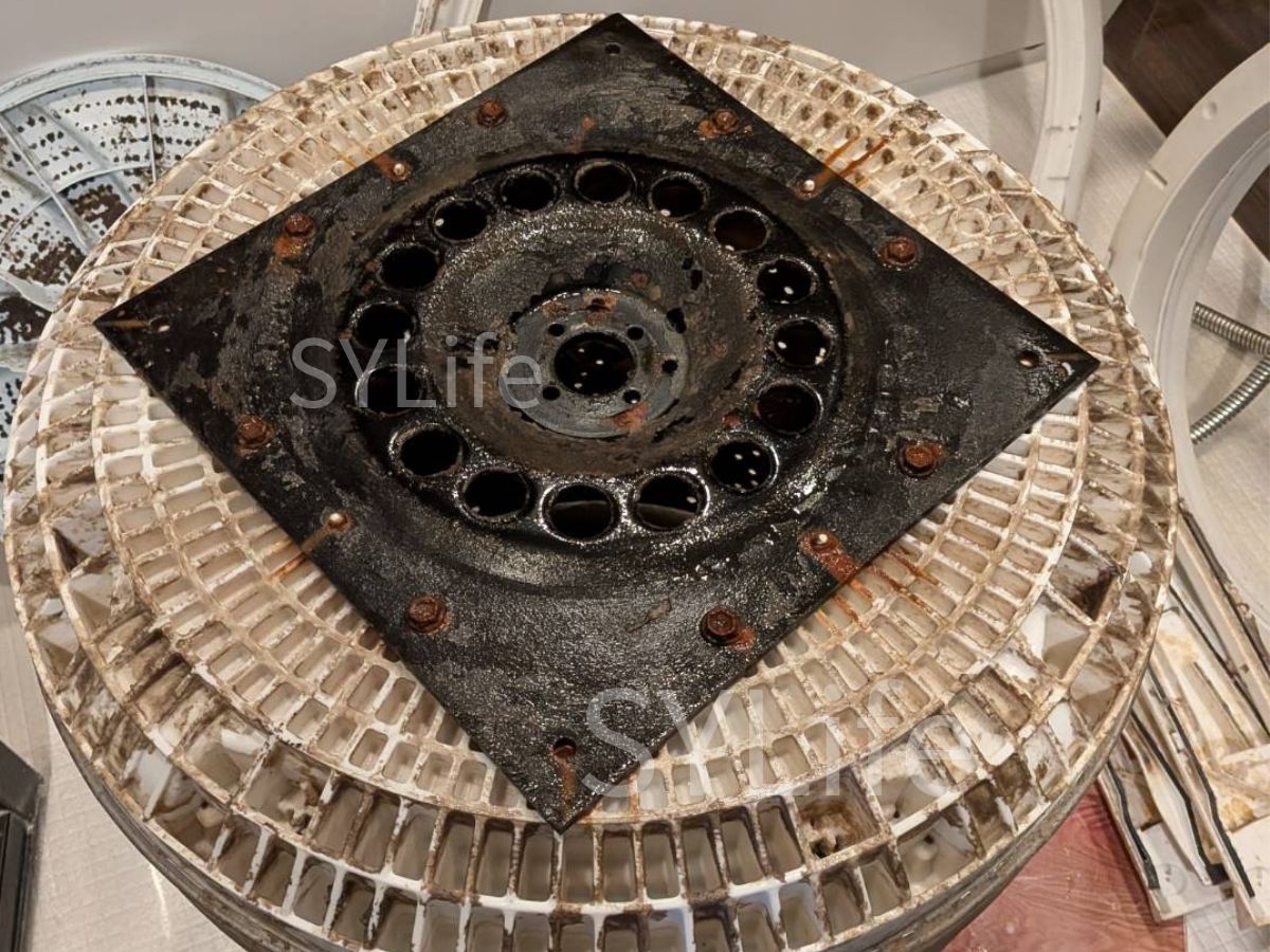 東芝製縦型洗濯機AW-12D9(W)の洗浄前洗濯槽裏の写真。