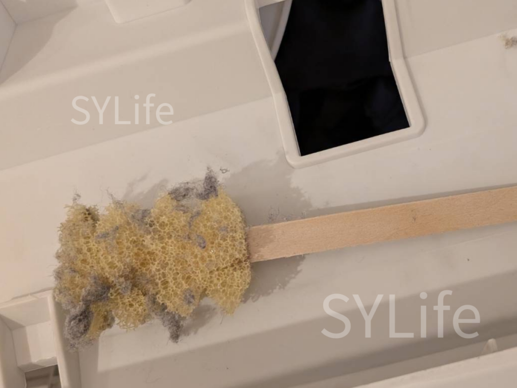 落下物のブラシの写真。