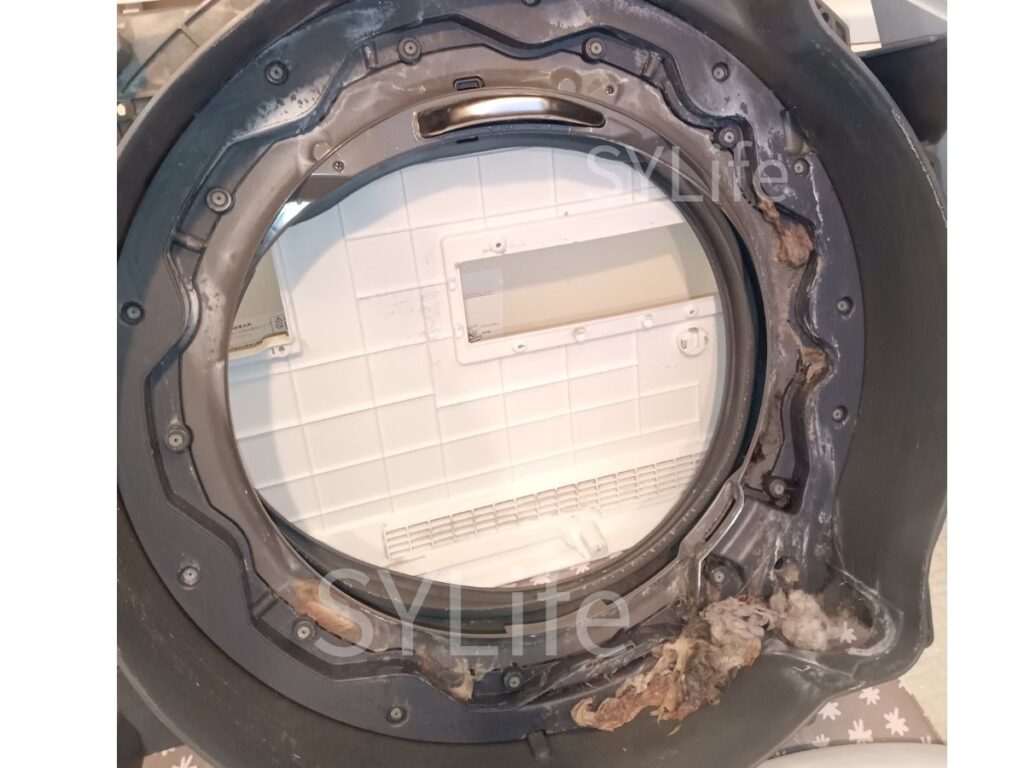 板橋区 ドラム式洗濯機クリーニング NA-VG720L 脱水受けカバーのホコリ汚れ