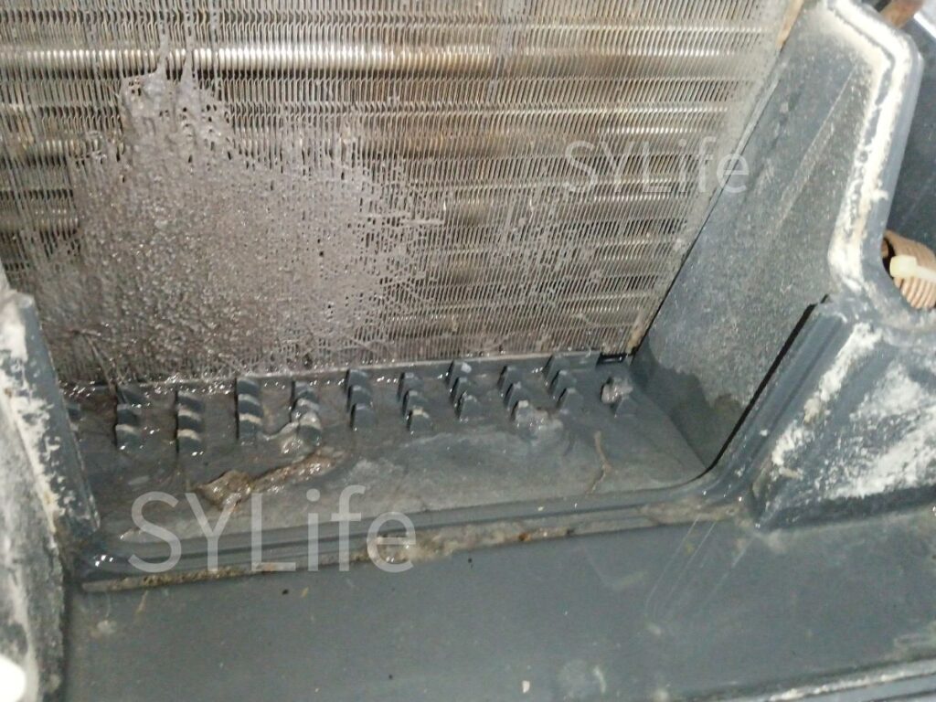 新宿区 ドラム式洗濯機クリーニング NA-VX7900R ヒートポンプ目詰まり洗浄前