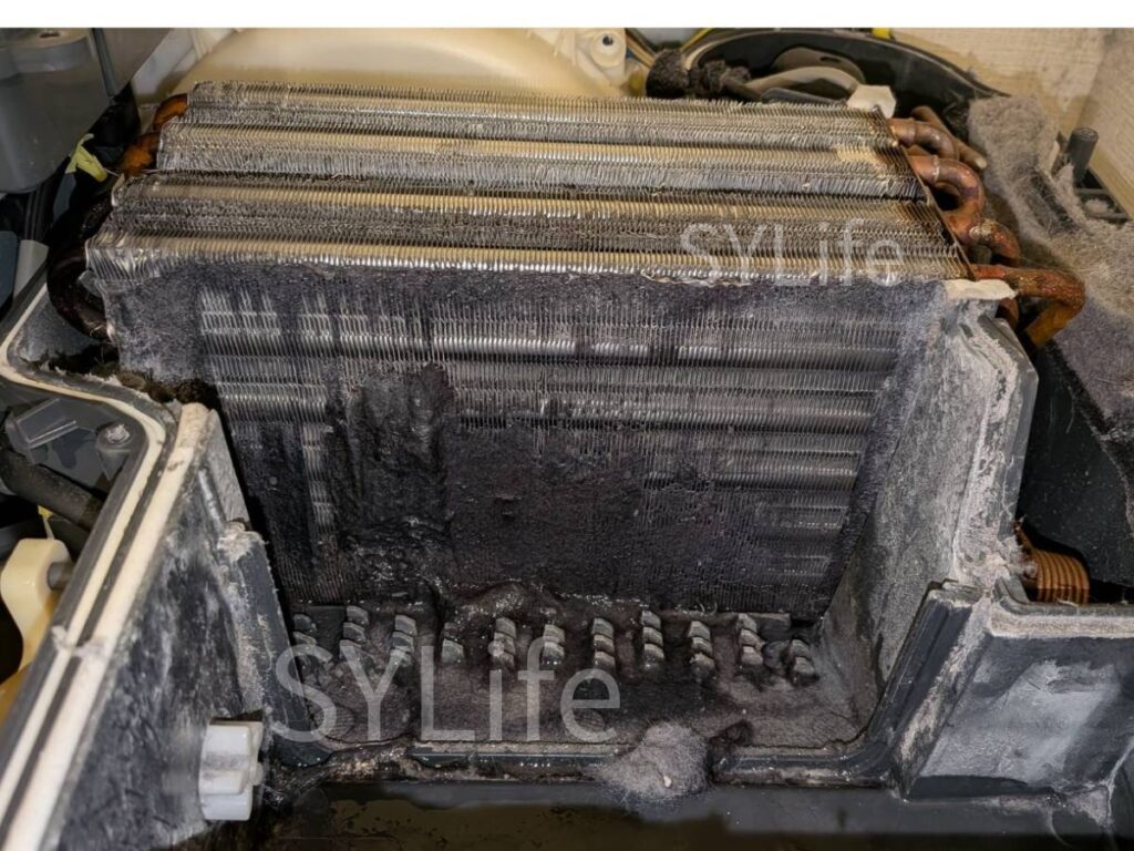 品川区 NA-VX9600L ヒートポンプ ホコリ 毛 詰まり 洗浄前