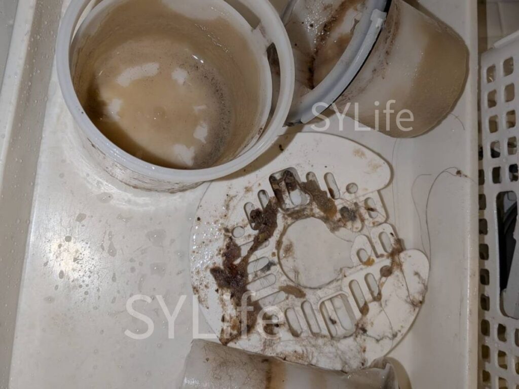 東京都中央区 ドラム式洗濯機 排水口汚れ 洗浄前