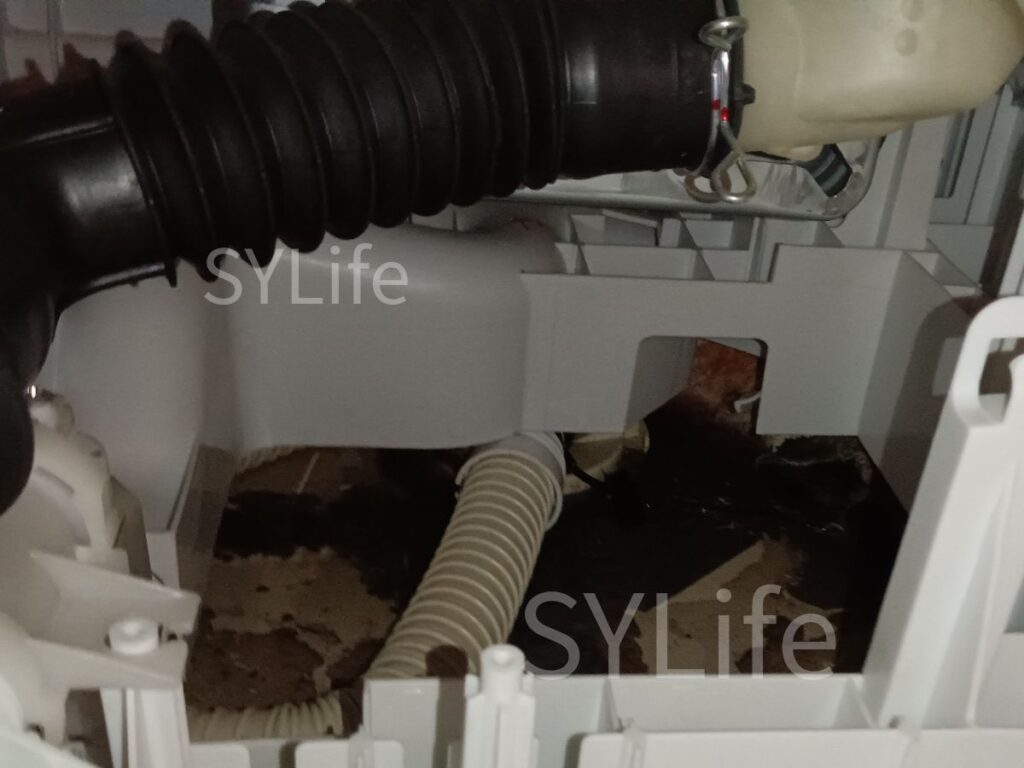 杉並区 日立BD-SG100AL 排水逆流で汚れた洗濯パン