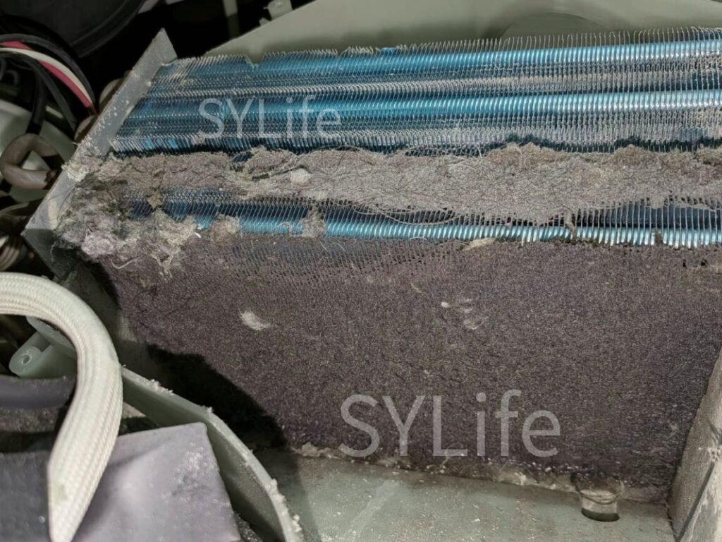 中野区 ドラム式洗濯機クリーニング 東芝TW-117X5 ヒートポンプ表面のホコリ堆積