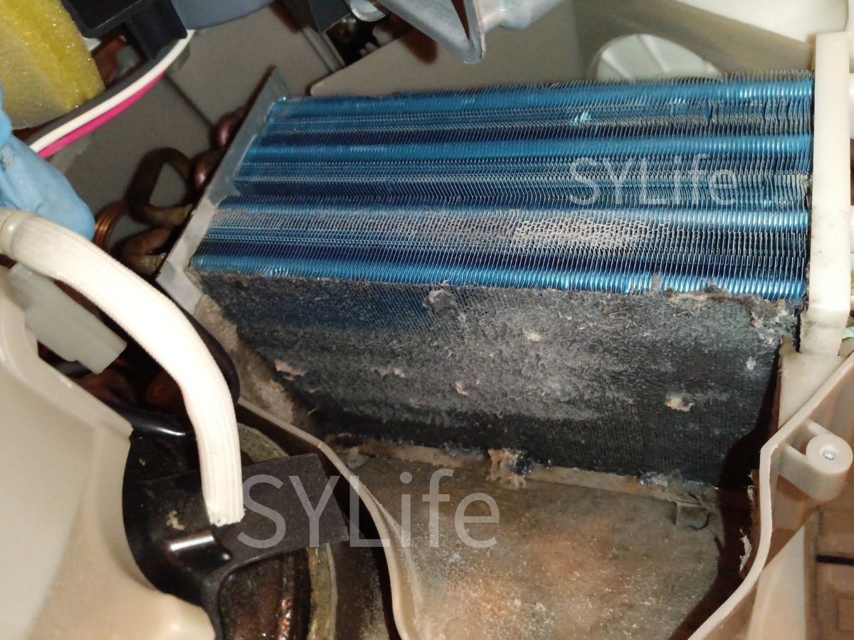 東芝 TW-127X8R ヒートポンプ洗浄前 ホコリ詰まりによる乾燥不良の状態