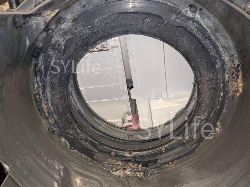 NA-VX9600L 脱水受けカバー 摩耗 穴 異音 品川区