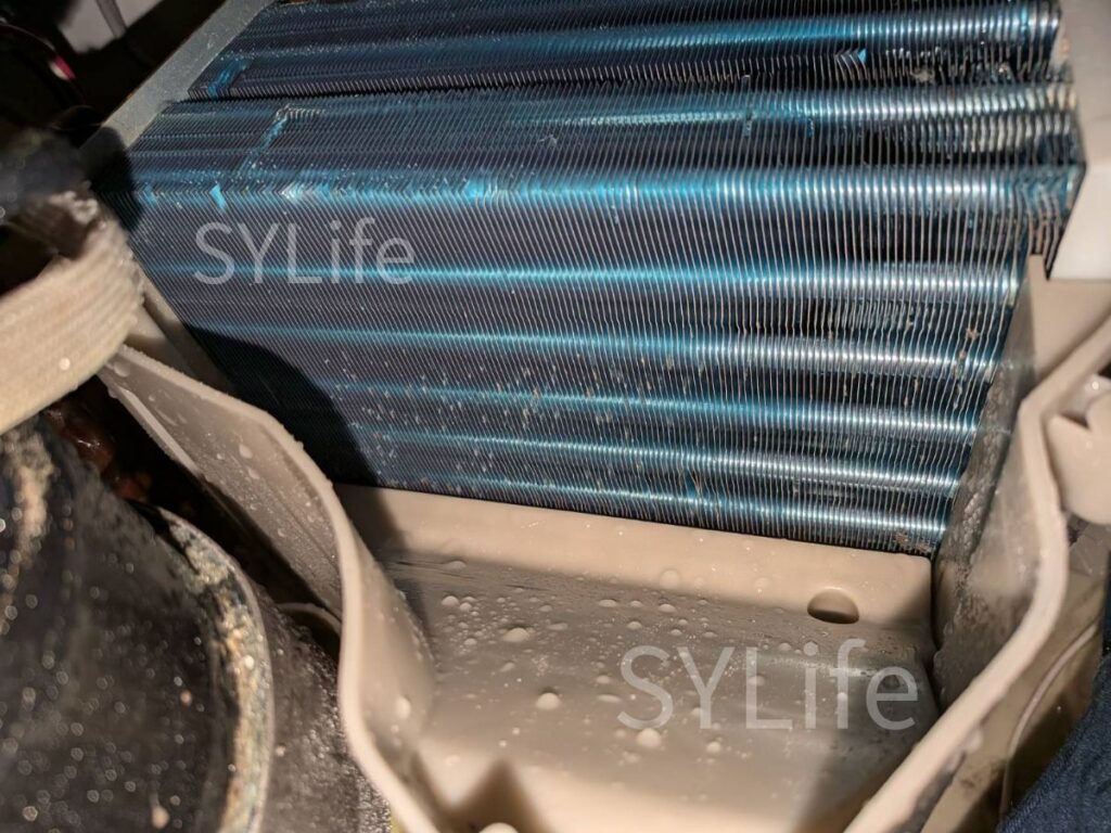 TW-127XP2R ヒートポンプ洗浄後　世田谷区 ドラム式洗濯機クリーニング