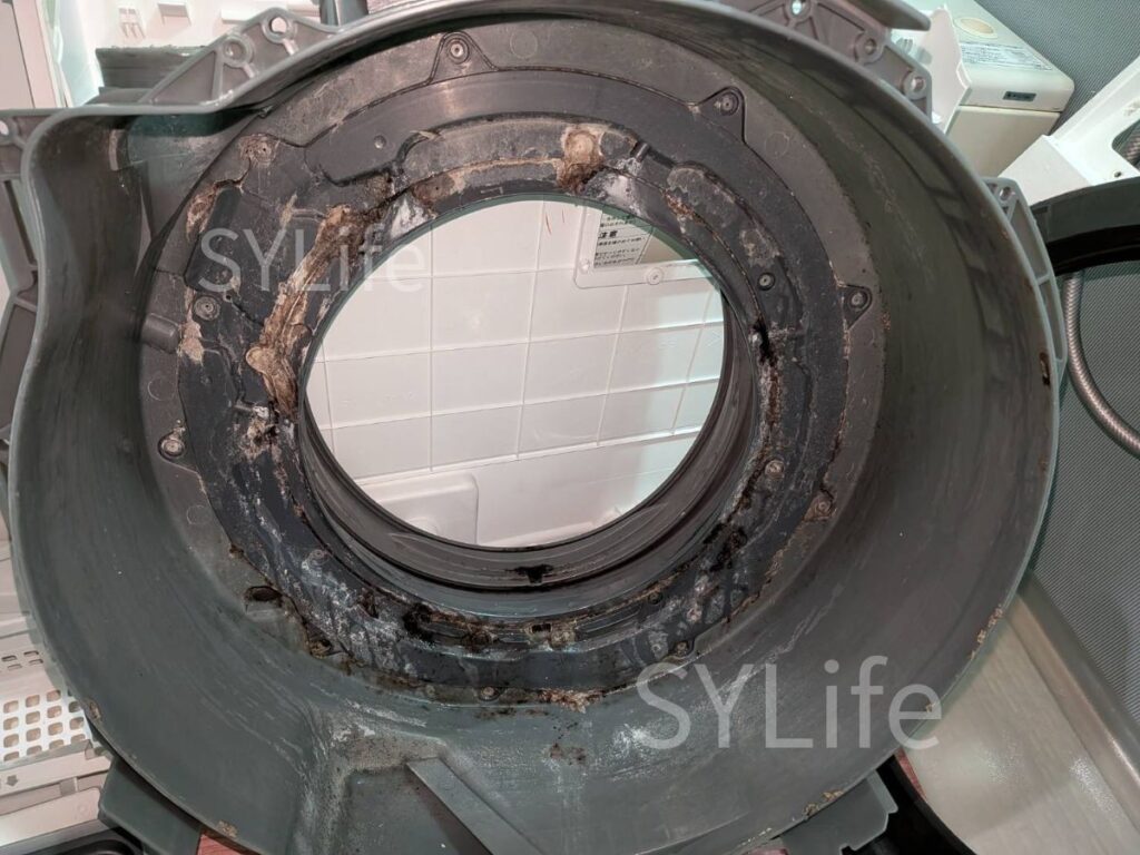 東京都中央区 ドラム式洗濯機クリーニング NA-VX3900L 脱水受けカバー（洗浄前）