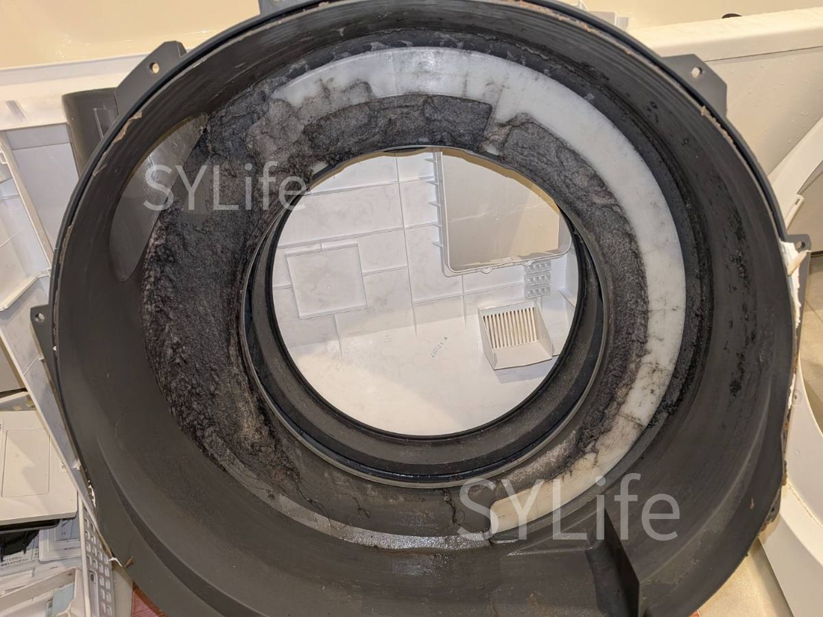 TW-127XP2R 脱水受けカバー内部洗浄前 世田谷区 ドラム式洗濯機クリーニング