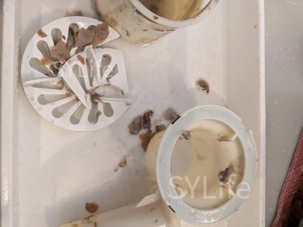 草加市 ドラム式洗濯機クリーニング パナソニック NA-VX800BL 分解作業 排水口（洗浄前）