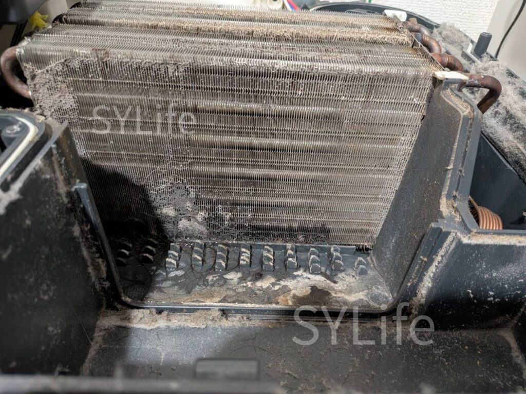 江東区ドラム式洗濯機クリーニングパナソニックNA-VX9800Lヒートポンプ汚れ