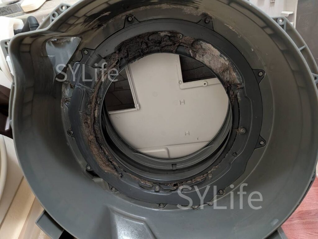 江東区ドラム式洗濯機クリーニングパナソニックNA-VX9800L脱水受けカバー内部汚れ