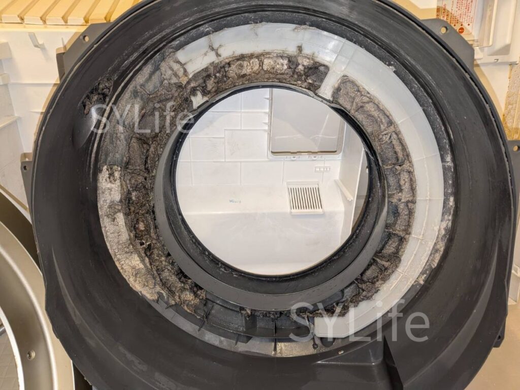 世田谷区東芝ドラム式洗濯機クリーニングTW-127X7脱水受けカバー内部ホコリ詰まり