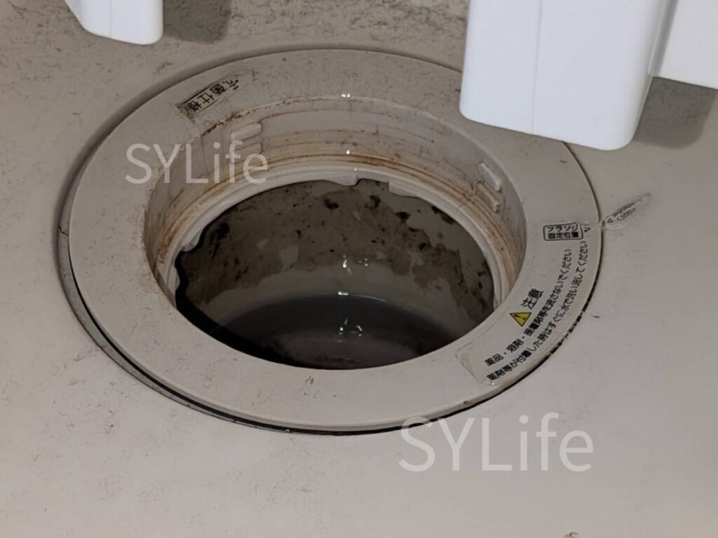 江東区日立ドラム式洗濯機BD-SG100EL排水口洗浄前