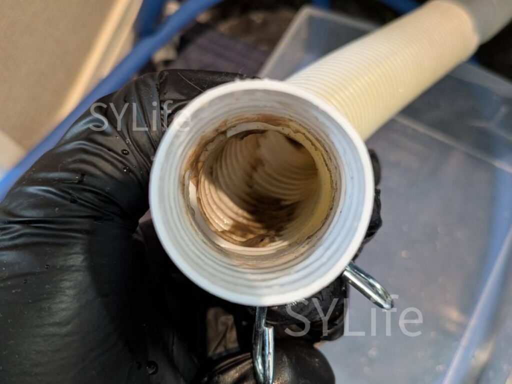 板橋区シャープドラム式洗濯機ES-W113-SL排水ホースカビ汚れ