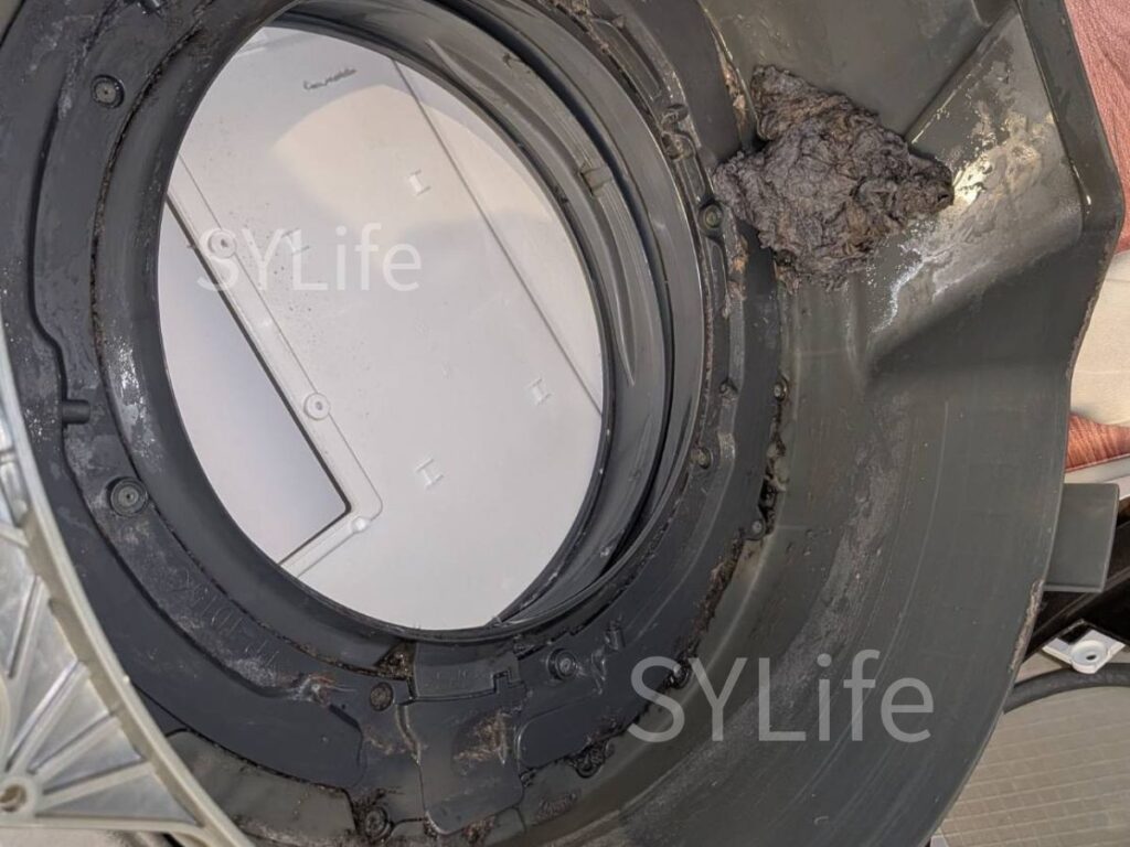 世田谷区ドラム式洗濯機パナソニックNA-VX800BR脱水受けカバーから出たホコリ汚れ
