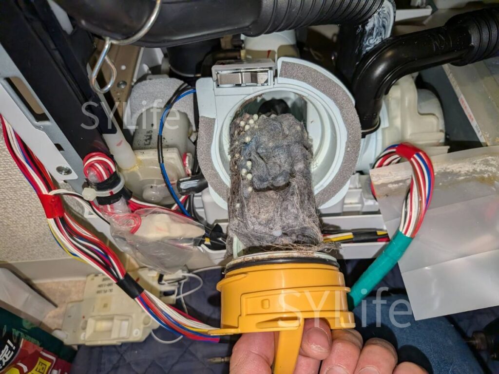 日立BD-STX110GL糸くずフィルターにホコリと犬の毛