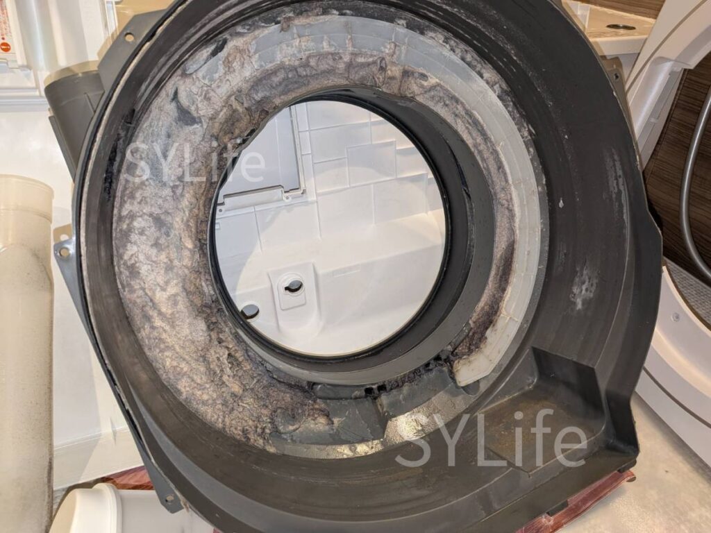 新宿区ドラム式洗濯機東芝TW-127X9L内部脱水受けカバーホコリ詰まり