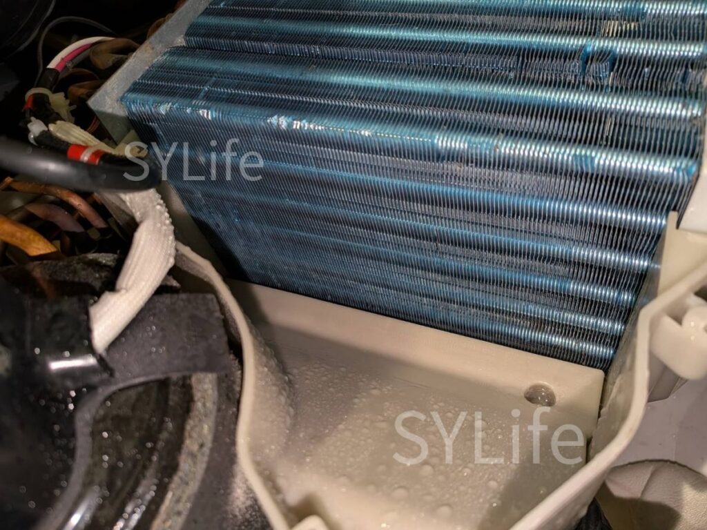 川口市東芝ドラム式洗濯機TW-127XP1Lヒートポンプ洗浄後
