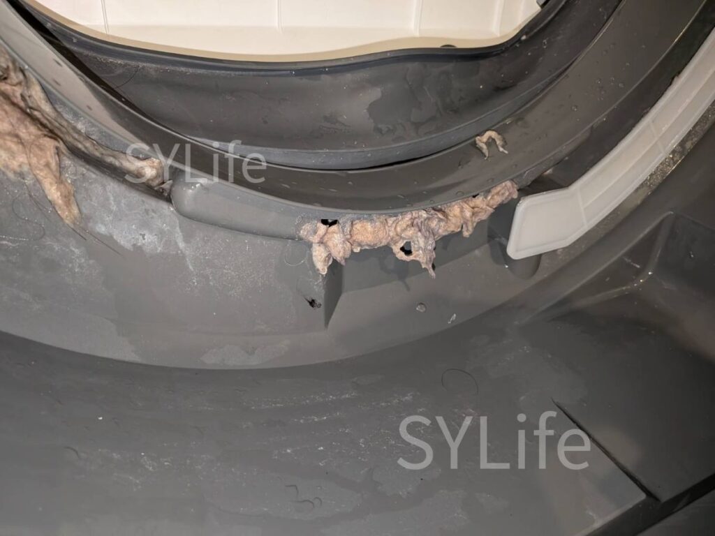 中央区ドラム式洗濯機クリーニング東芝TW-127X9BKL内部から見た排水部分の詰まり